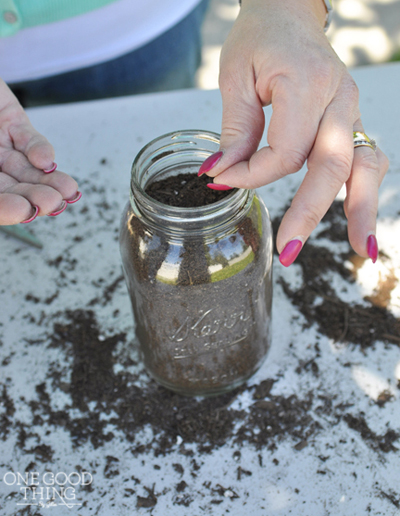 window sill herb garden