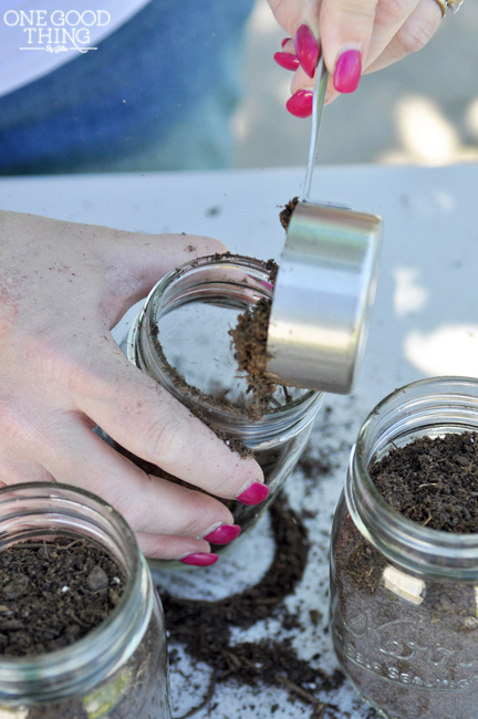 window sill herb garden