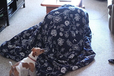 duvet cover 2