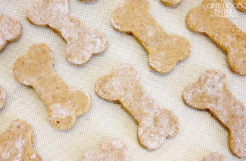 doggie treats