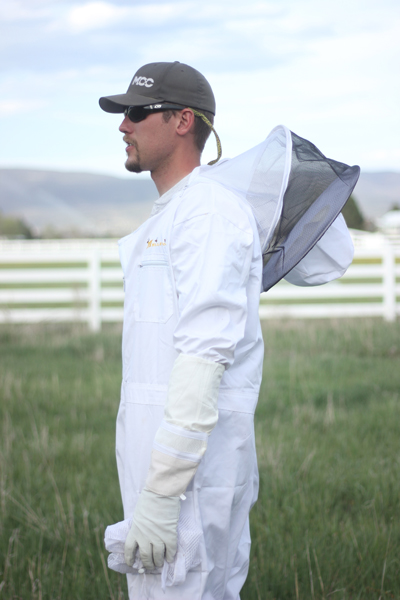 Beekeeping