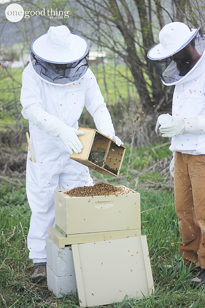 Beekeeping