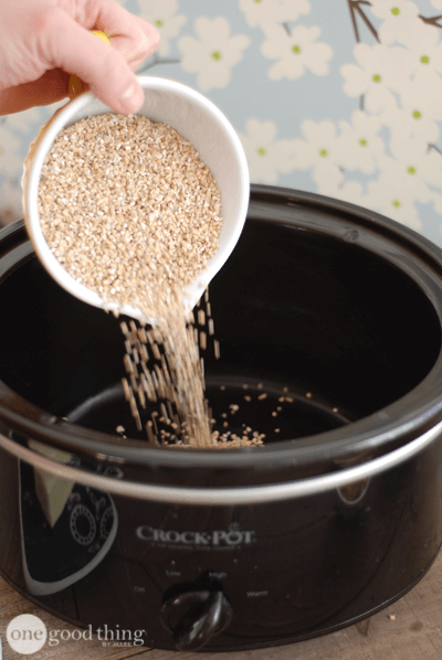 Overnight Slow-Cooker Oats