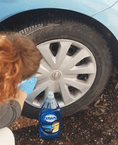 10 Handy Uses for Steel Wool