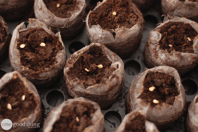Starting Seeds Indoors - Part 1
