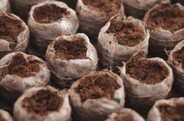 Starting Seeds Indoors - Part 1