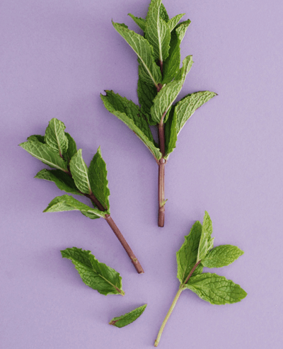 Tips and Tricks for Tummy Troubles
