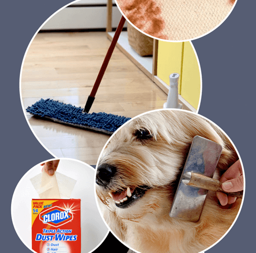 pet hair problems 