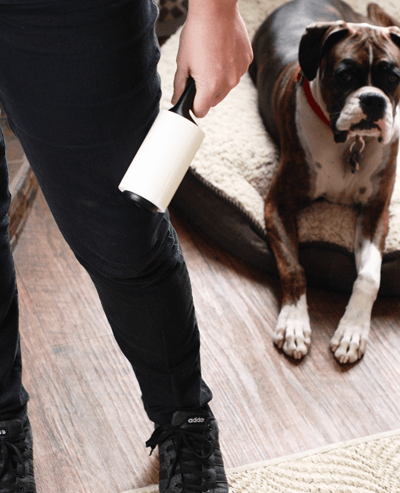Solving Pet Hair Problems