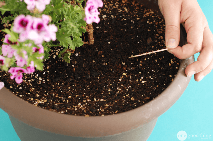 10 Clever Uses for Toothpicks