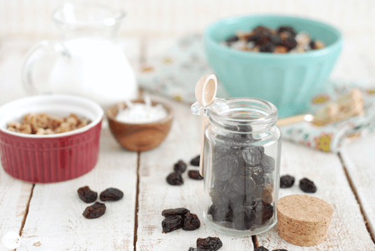 GRANDMA'S RAISIN COOKIES-image