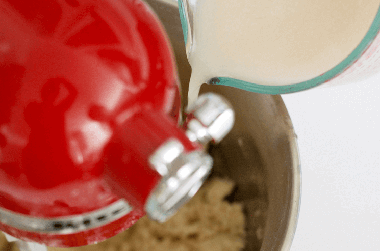 Gluten Free Pizza Crust