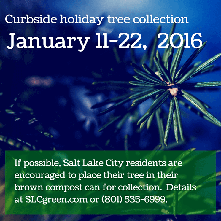 After Christmas Cleanup