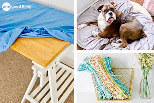 Four pictures of a dog laying on a table with a blue blanket resembling bed sheets.