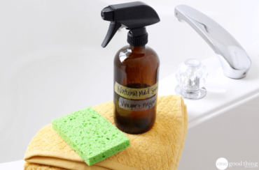 How To Get Rid Of Mold and Mildew Naturally