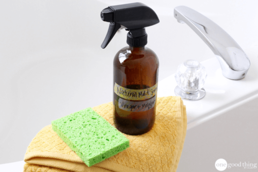 How To Get Rid Of Mold and Mildew Naturally