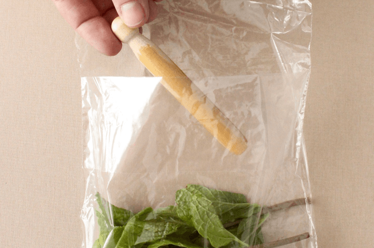 Homemade Car Air Fresheners