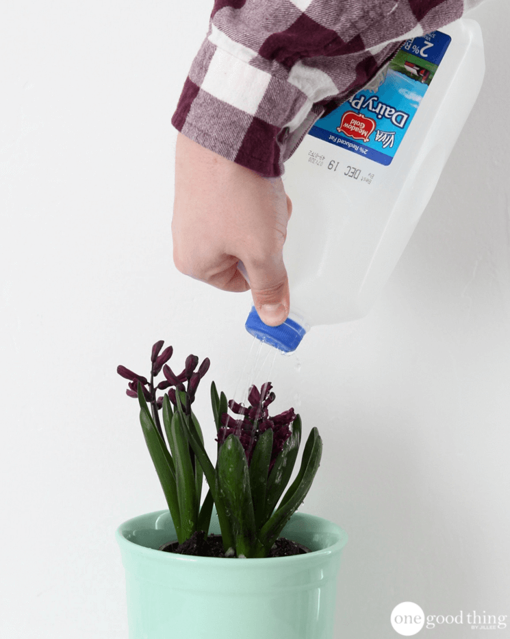 Why Didn't I Think Of That?