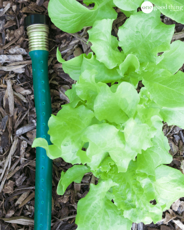 10 Ways To Repurpose Your Old Garden Hose