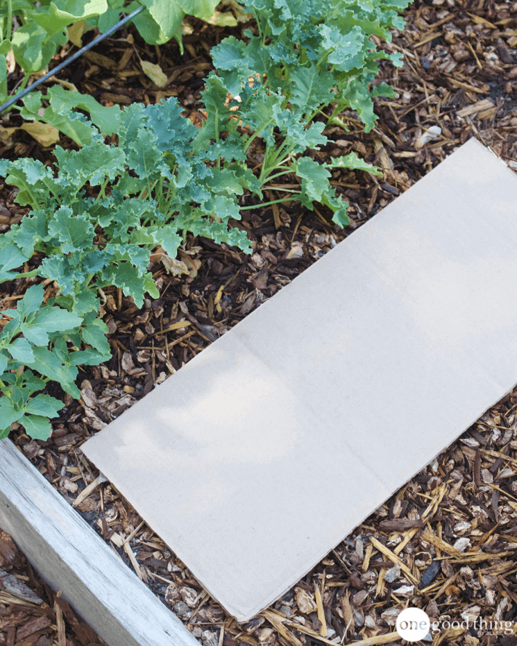 Uses for Cardboard Boxes