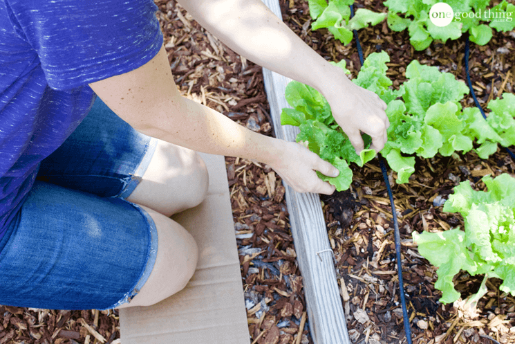Uses for Cardboard Boxes