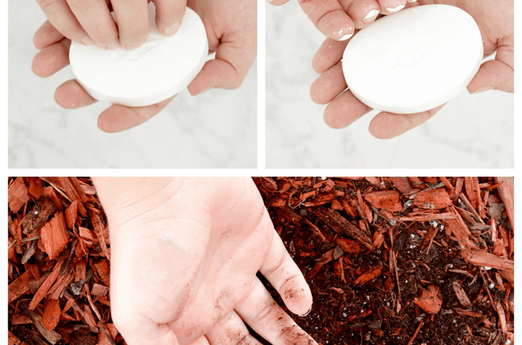 Uses For Bar Soap