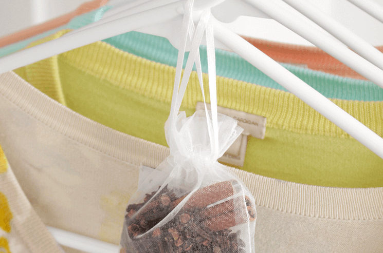 Things You Can Do With Cinnamon