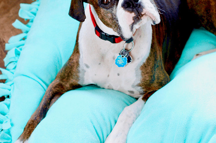 Uses for Old Bed Pillows