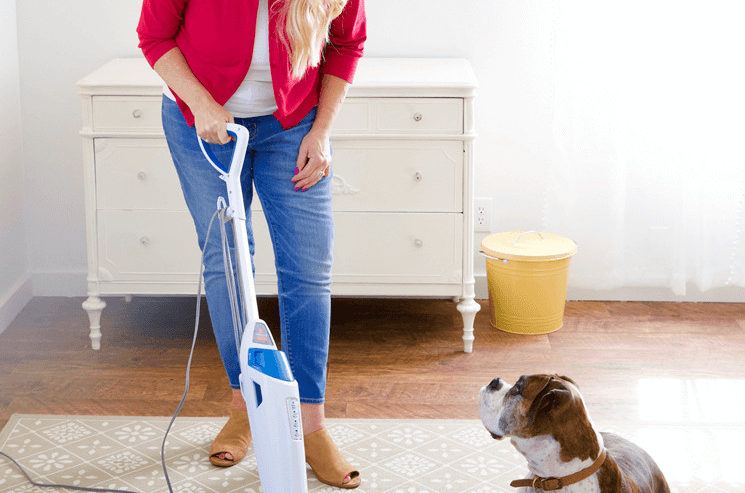 Steam Mop