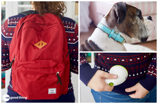 lifetime guarantee dog collar