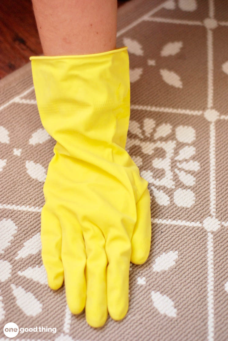 cleaning up dog hair