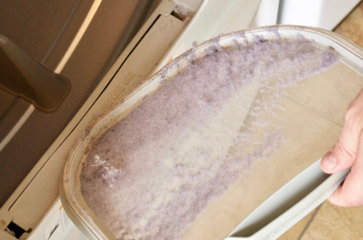 dryer lint trap