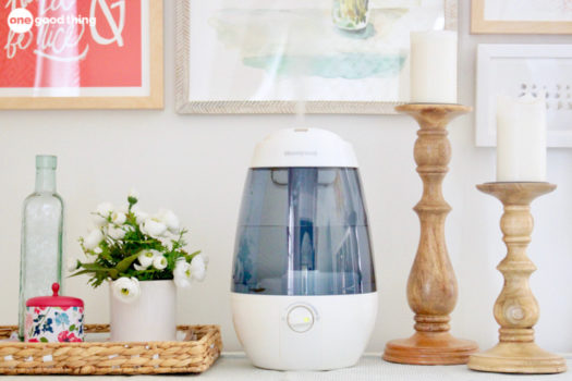 7 Ways To Add Moisture To The Air Without A Humidifier