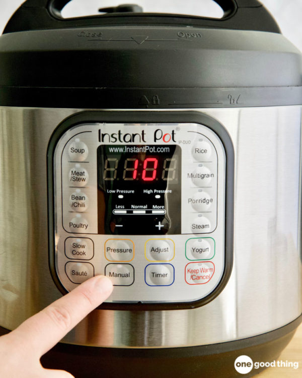 Can You Put Frozen Meat In The Instant Pot?