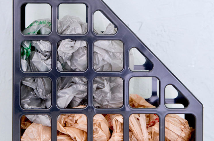 Organization