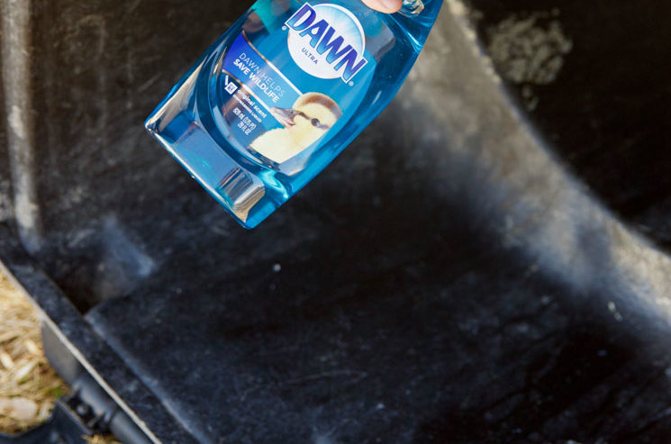 The Worst Household Odors