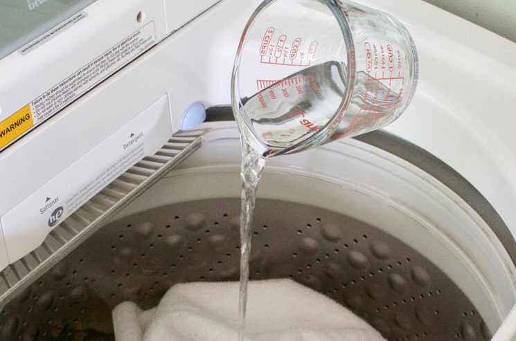 The Worst Household Odors