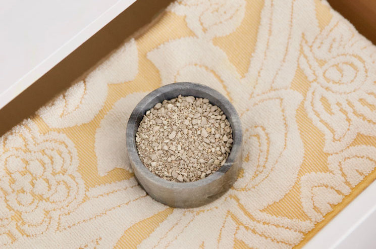 The Worst Household Odors