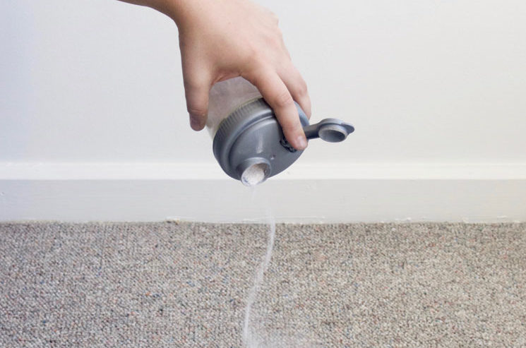 The Worst Household Odors