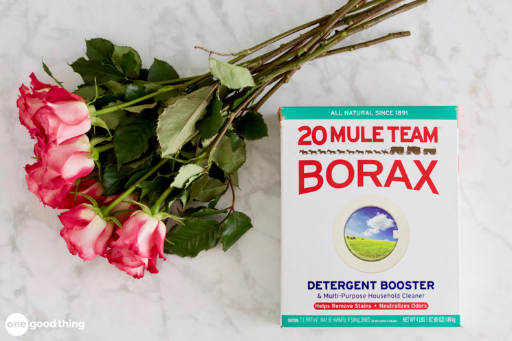 Uses Of Borax Powder In Your Home - N-essentials Pty Ltd 