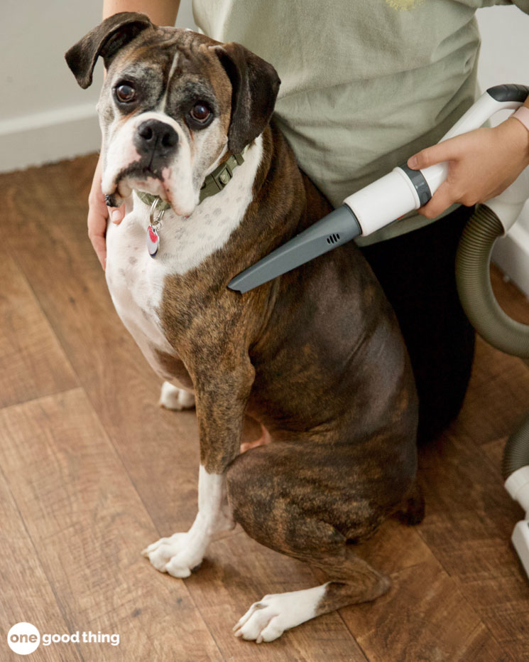 things you can do with your vacuum