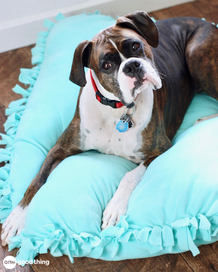 Essential Oil Mistakes