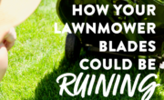 How your lawn mower blades could be maintaining your grass.