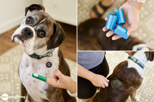 Pet Expenses