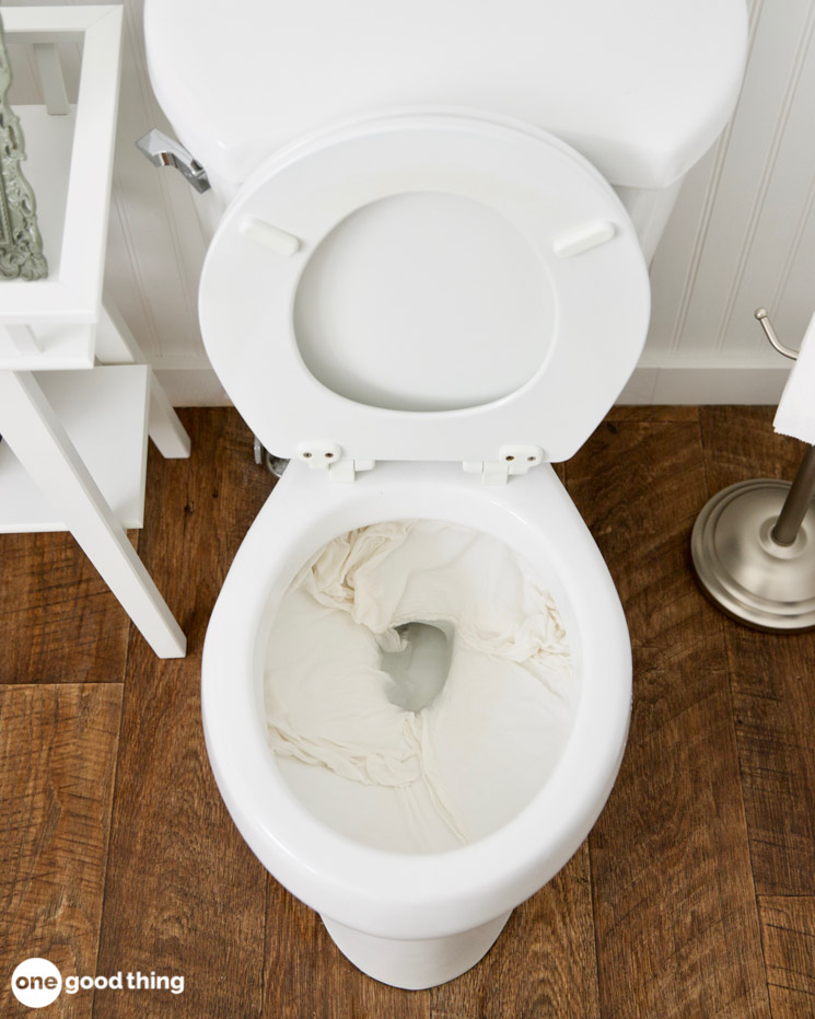 toilet cleaning hack