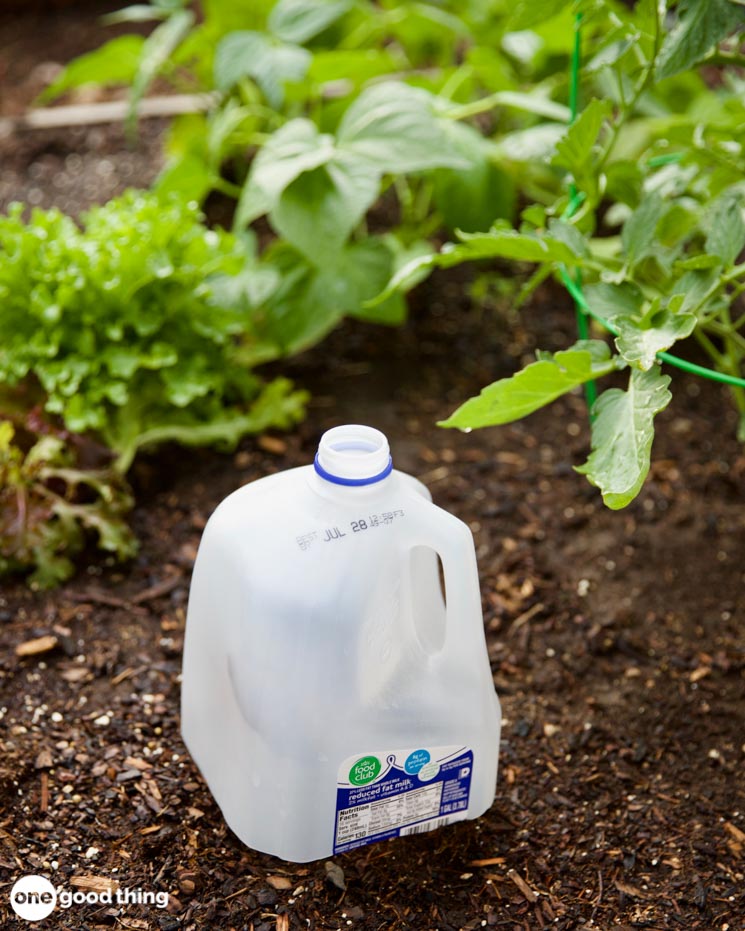 Gardening Hacks