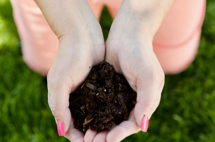Problems That Can Ruin Your Lawn