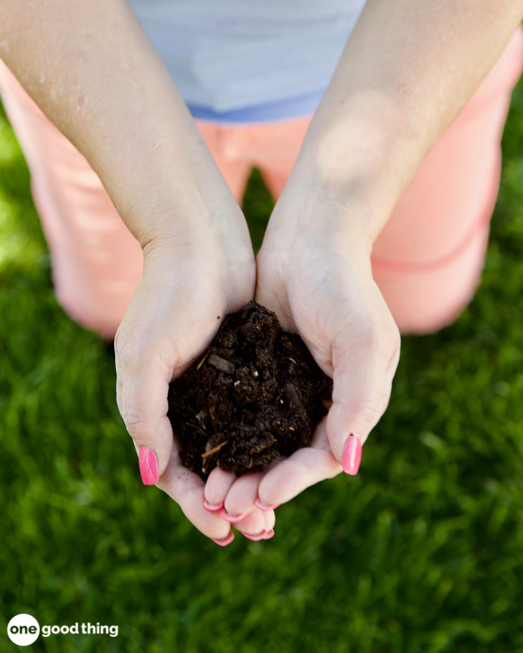 Problems That Can Ruin Your Lawn