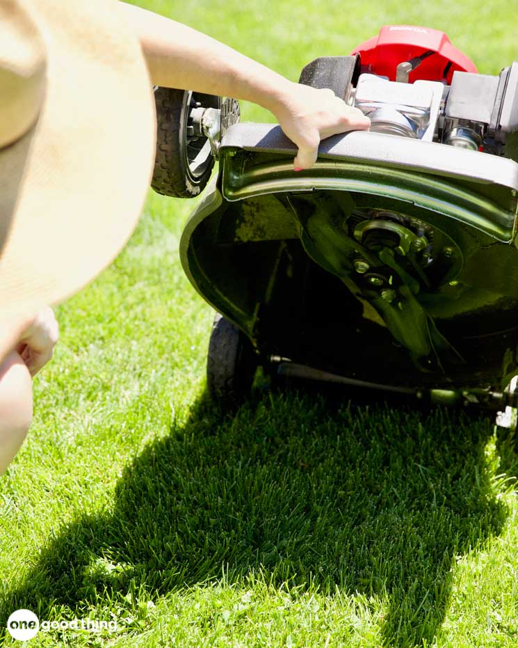 Problems That Can Ruin Your Lawn