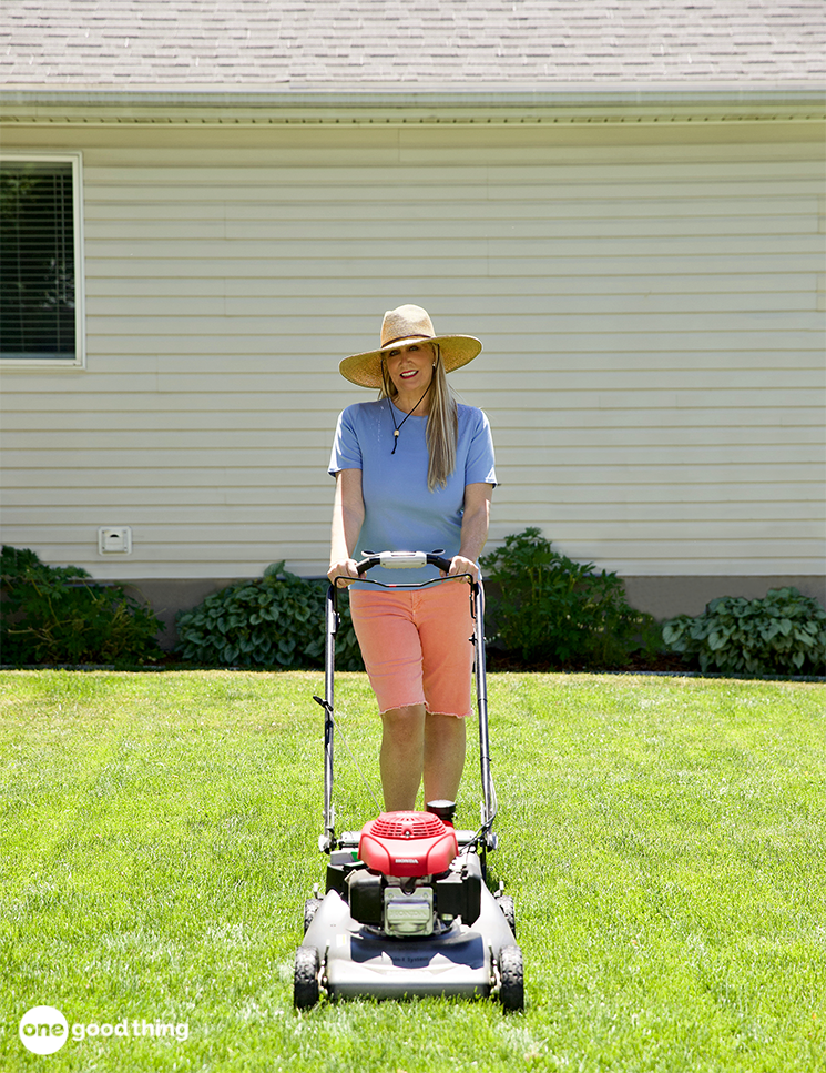 Problems That Can Ruin Your Lawn